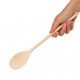Wooden Spoon